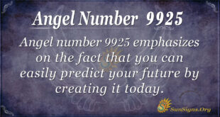 9925 angel number