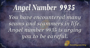 9935 angel number