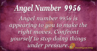 9956 angel number