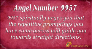 9957 angel number