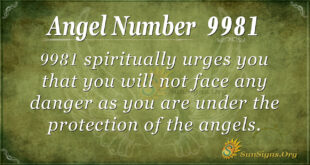 9981 angel number