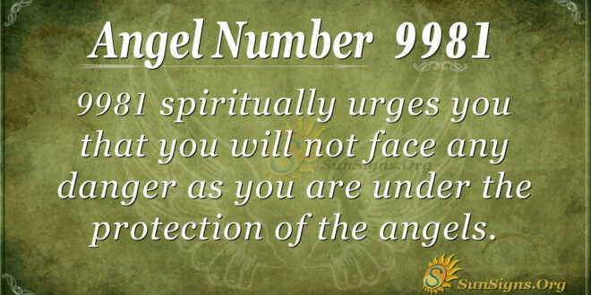 9981 angel number