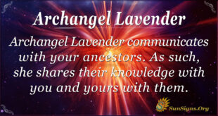Archangel Lavender