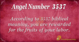 3537 angel number