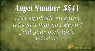3541 angel number