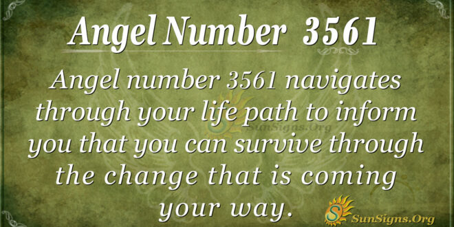 3561 angel number