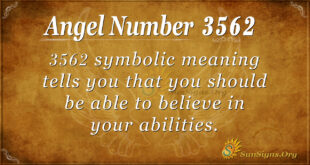 3562 angel number