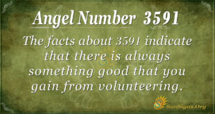 3591 angel number