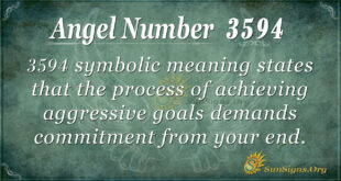 3594 angel number