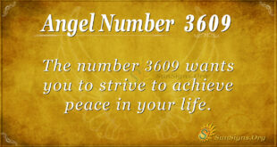 3609 angel number