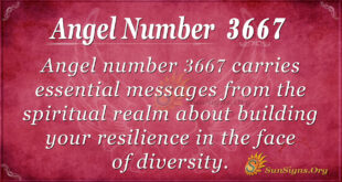 3667 angel number