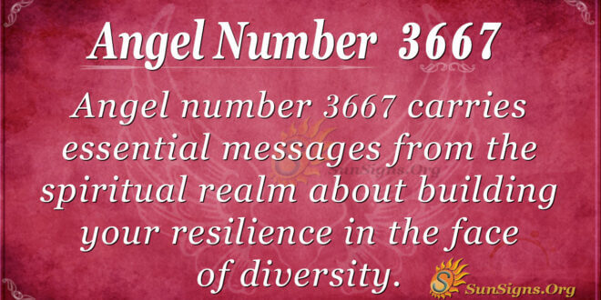 3667 angel number