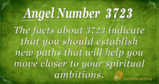 3723 angel number