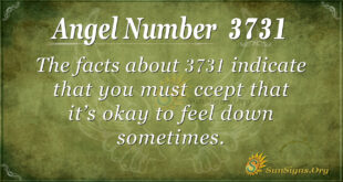 3731 angel number