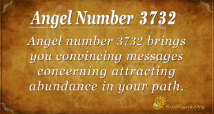 3732 angel number