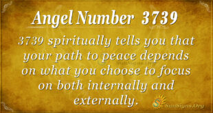 3739 angel number