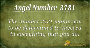 3781 angel number