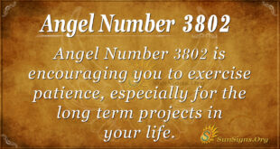3802 angel number