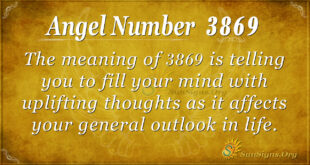 3869 angel number