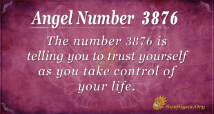 3876 angel number