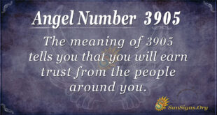 3905 angel number