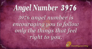 3976 angel number