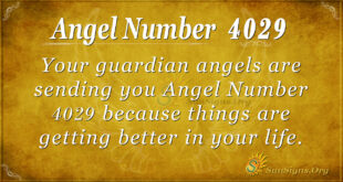4029 angel number