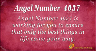 4037 angel number
