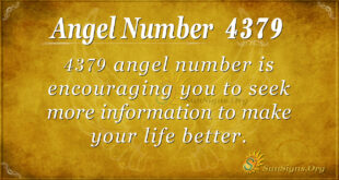 4379 angel number