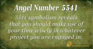 5541 angel number