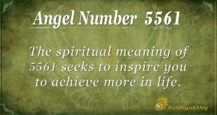 5561 angel number