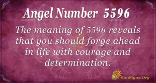 5596 angel number