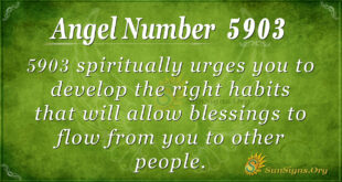5903 angel number