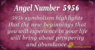 5956 angel number