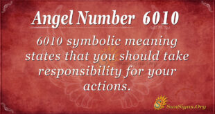 6010 angel number