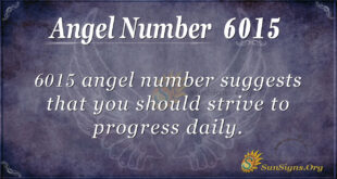 6015 angel number