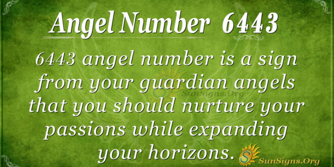 6443 angel number