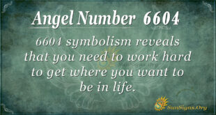 6604 angel number