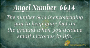 6614 angel number