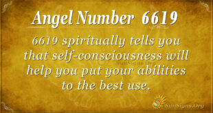 6619 angel number