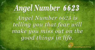 6623 angel number