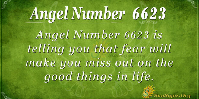 6623 angel number