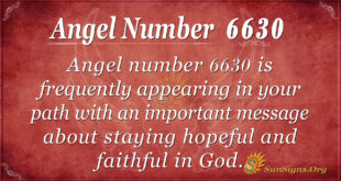 6630 angel number