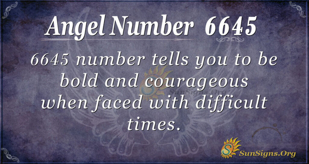 6645 angel number