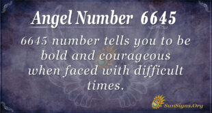 6645 angel number