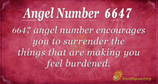 6647 angel number