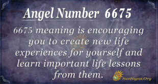 6675 angel number