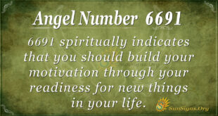 6691 angel number