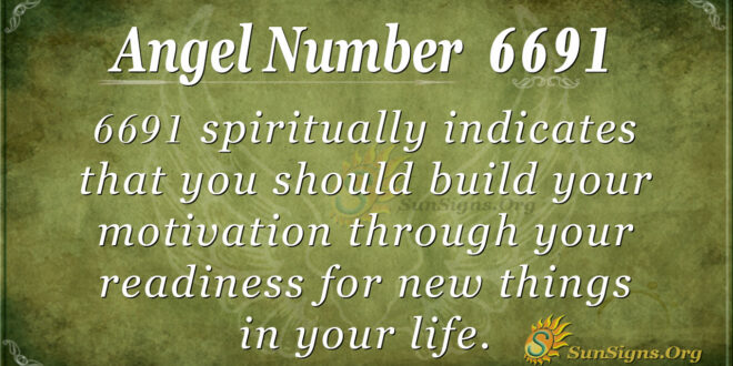 6691 angel number
