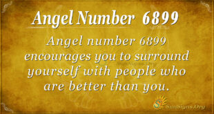 angel number 6899